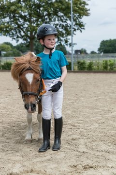 Bild 267 - Pony Akademie Turnier